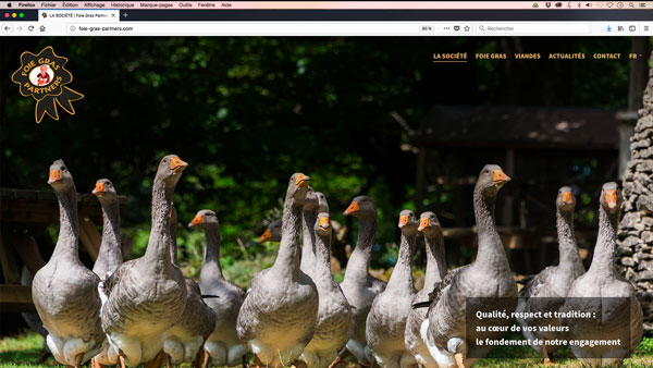 design et programmation web: site Foie Gras Partners