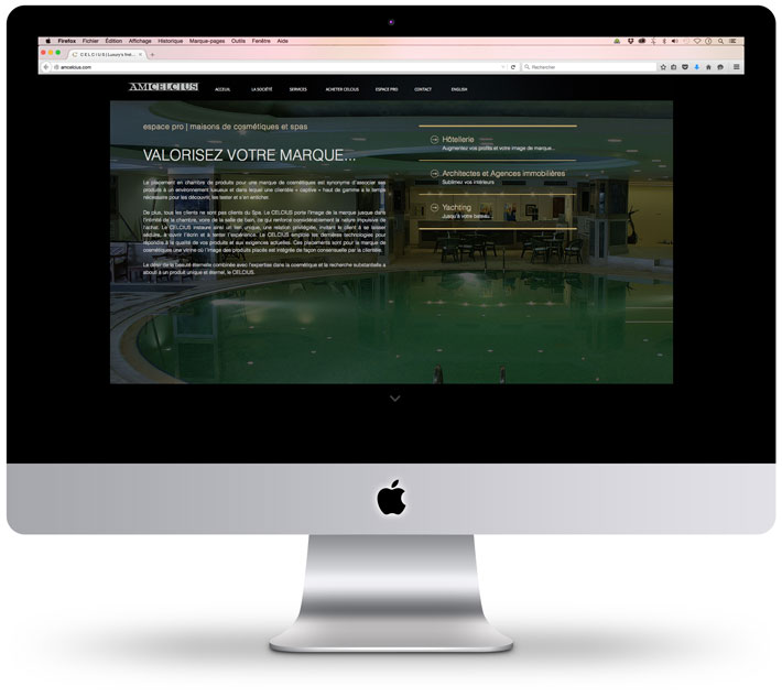 web: création d'un site web sous HTML5 / CSS3